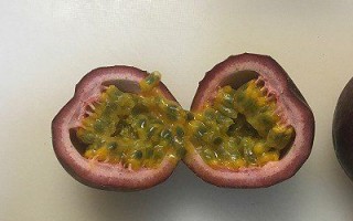 百香果的果肉是那部分,百香果哪里是肉类