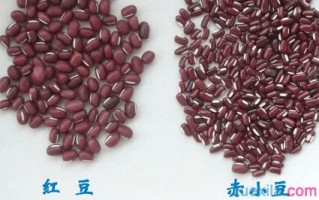 红豆是哪里的（红豆是那里的）