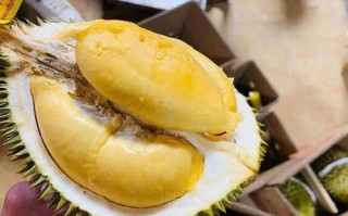 奶油猫山王榴莲好吃吗,猫山王榴莲真的那么好吃吗