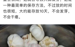 大蒜放冰箱好还是放外面好,蒜放哪里保存