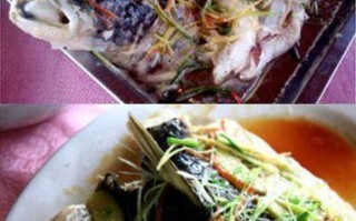 顺德哪里吃鱼好（顺德哪里吃鱼好啊?）