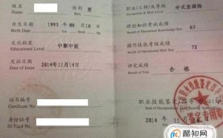 怎么样才能当上厨师（厨师的等级划分）