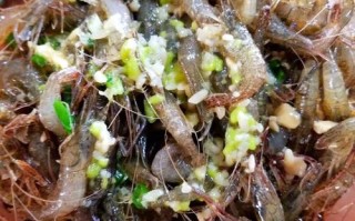 醉虾哪里菜（盐水醉虾的正确做法）