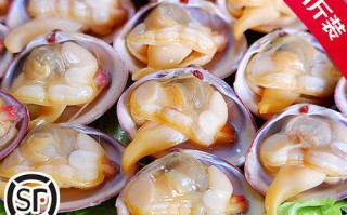 蚬子吃哪里（扇贝蚬子吃哪）