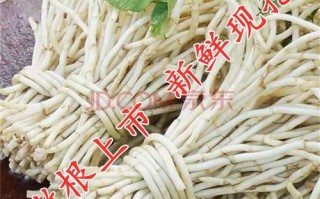 新鲜的鱼腥草哪里有卖（新鲜的鱼腥草哪里有卖的）