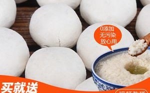 做米酒酒曲哪里有卖（酒曲哪里买最正宗）