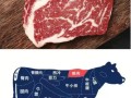 牛肉哪里脂肪低（牛肉哪里脂肪低一点）