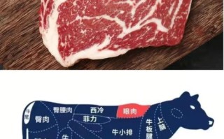 牛肉哪里脂肪低（牛肉哪里脂肪低一点）