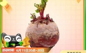 甜菜根哪里买（甜菜根又叫什么）
