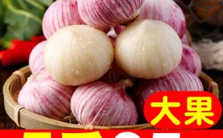 哪里的独头蒜好（哪里的独头蒜好吃）