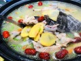 沧州哪里卖土鸡炖甲鱼（沧州哪里卖土鸡炖甲鱼的）