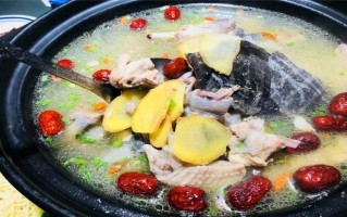 沧州哪里卖土鸡炖甲鱼（沧州哪里卖土鸡炖甲鱼的）