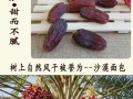新疆椰枣哪儿产的质量最好,哪里的椰枣好吃