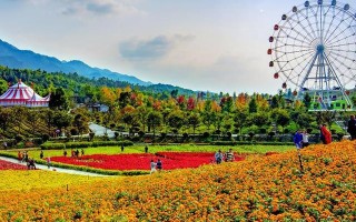 开花豆腐哪里（铜梁看花地方）