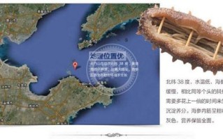 海参的主产地,辽宁海参产地在哪里