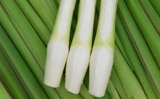 茭白在湖南叫什么,茭白哪里的好吃