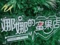 带木字水果酸店名,蜜果品牌怎么样知乎
