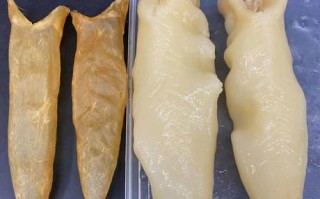 哪里买鱼胶（哪里买鱼胶比较便宜又正宗）