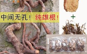 野生猕猴桃根哪里有卖（野生猕猴桃根哪里有卖吗）