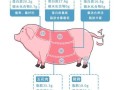 猪身上哪个部位最营养,猪哪里营养价值最高