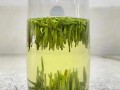 高山绿茶哪个地方产最好,哪里的绿茶好喝