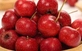 山楂哪里的好（小山楂哪里的好）