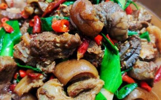 狗肉火锅哪里的（狗肉火锅哪里的好吃正宗?）