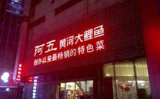阿五黄河大鲤鱼怎么样（阿五黄河大鲤鱼官网）