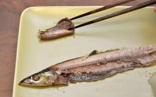 秋刀鱼哪里不能吃（秋刀鱼东北叫什么）