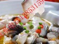 专做鱼加盟怎么样（专做鱼加盟怎么样）