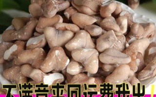 菱角米哪里有卖（干菱角米怎么）