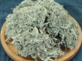 谁知道“茵陈”是到茶叶店买，还是到中药店？山东有卖的吗？怎么分辨是不是三月茵陈,茵陈蒿哪里有卖的啊