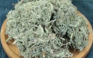 谁知道“茵陈”是到茶叶店买，还是到中药店？山东有卖的吗？怎么分辨是不是三月茵陈,茵陈蒿哪里有卖的啊