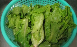 玻璃生菜哪里买（凉拌玻璃脆生菜的做法）