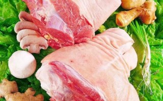 髈肉是哪里的肉,蹄膀是哪里的叫法