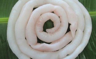 鲟鱼怎么有一条筋,鲟鱼筋在哪里可以买到