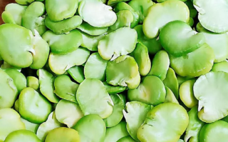 豆瓣哪里好吃（豆瓣哪里好吃啊）