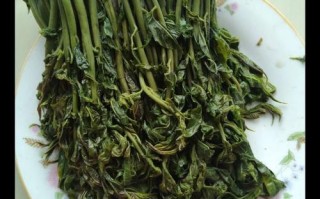 香椿菜哪里有卖（香椿菜保存方法）