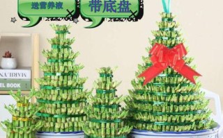 节节高放在哪里好（节节高放在哪里比较好）