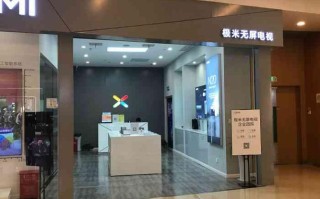 现在经营实体店怎么样（极米投影仪实体店好做吗）
