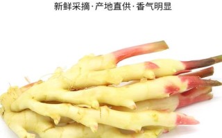 哪里的仔姜最好（哪里的仔姜最好吃）