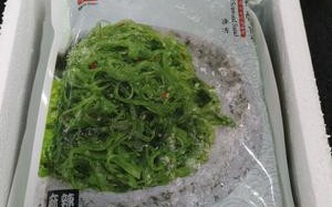 海底捞的裙带菜哪里能买,菜市场哪里有卖裙带菜