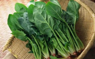 菠菜一般长在什么地方,菠菜吃哪里最好