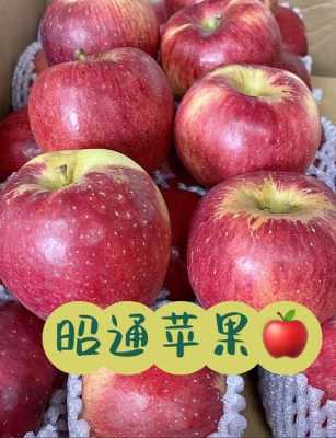 云南甘肃陕西的苹果最好吃,哪里的苹果好吃又脆又甜-第3张图片-厨房小当家 云南甘肃陕西的苹果最好吃,哪里的苹果好吃又脆又甜-第3张图片-厨房小当家