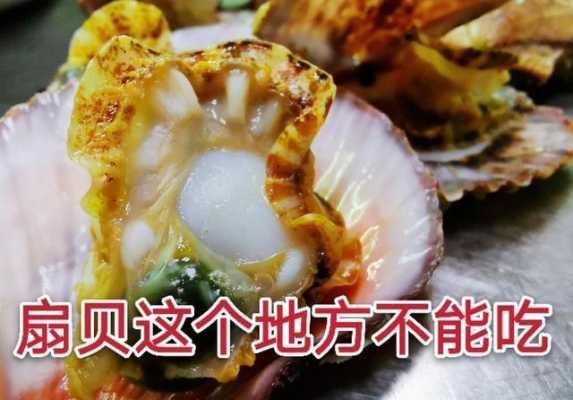 扇贝哪里不能吃(扇贝哪里不能吃)-第1张图片-厨房小当家 扇贝哪里不能吃(扇贝哪里不能吃)-第1张图片-厨房小当家