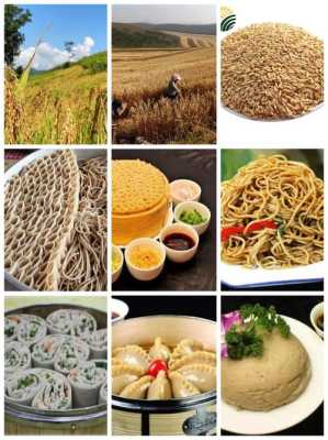莜面是哪里的特产（莜面是哪里的特产美食）-第3张图片-厨房小当家