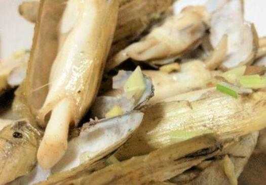 蛏子哪里是不能吃的,蛏子哪里不能吃图解-第3张图片-厨房小当家 蛏子哪里是不能吃的,蛏子哪里不能吃图解-第3张图片-厨房小当家