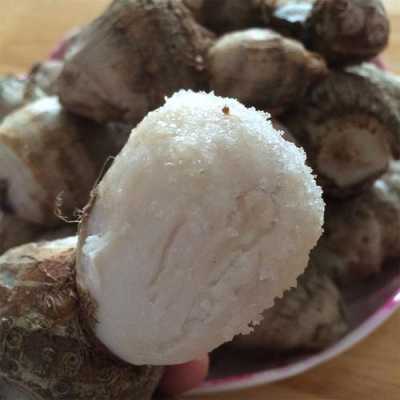 哪里的芋头最好吃(哪里的芋头最好吃营养价值最高)-第1张图片-厨房小当家 哪里的芋头最好吃(哪里的芋头最好吃营养价值最高)-第1张图片-厨房小当家