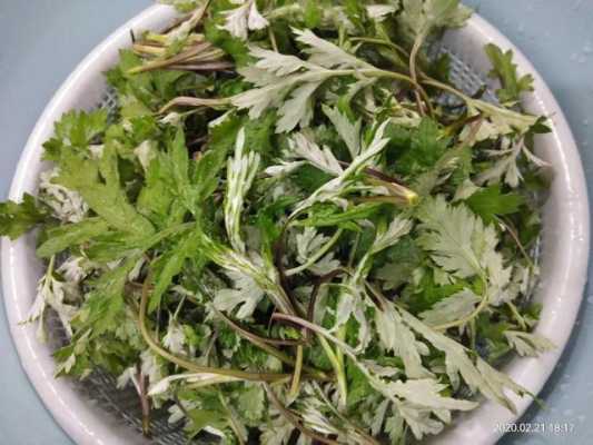 蒿子粑粑是哪里的特产（蒿子和艾草的区别图片）-第2张图片-厨房小当家