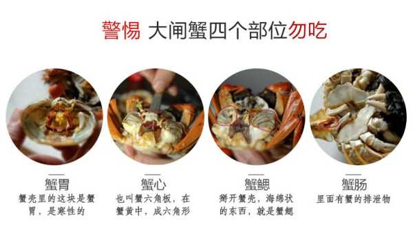 螃蟹哪里可以吃(螃蟹哪些部位能吃)-第1张图片-厨房小当家 螃蟹哪里可以吃(螃蟹哪些部位能吃)-第1张图片-厨房小当家